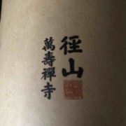 风中的玫瑰427