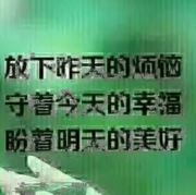 悠然自得1314988