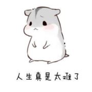 不与dog