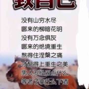 南墙已撞不负11NN