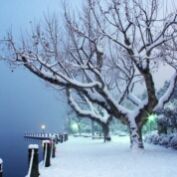 雪夜静話