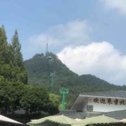 扣扣随风