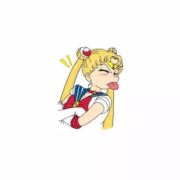 看客556