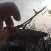 这个大叔有点肥