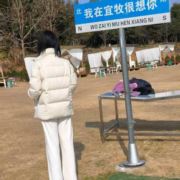 你的丹丹
