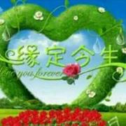 杭城苏月