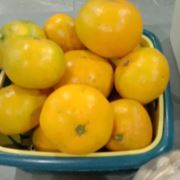 相忘于江湖2011