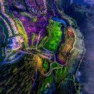 西瓜爱柠檬