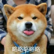 0喵里喵气0