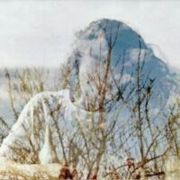 阿玛尼i