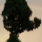 CT~1608651