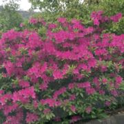 如今以是现实社会