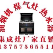 新亿厨房电器