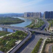 真情版套路