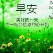 随风好难