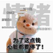 净夫人梅梓