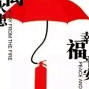 老叁老肆106