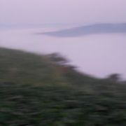 土蜂哥哥