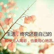 Hi过客