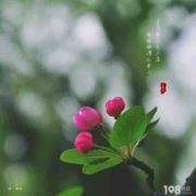 心态态态态