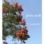 CT~4758029