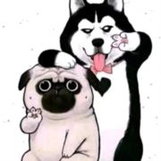 兜一圈儿