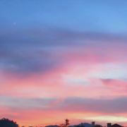 小指姑凉