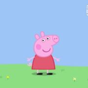 清儿贝贝1