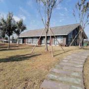 WX~6041077