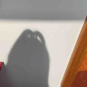 八命仙姑