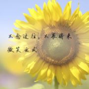 Y一颗女王心