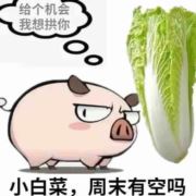 南无248