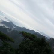 CT~6474598