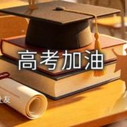 WX~6600634