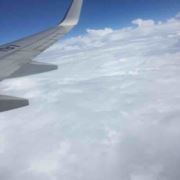 笨鸟学飞燕