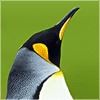 QQ~7016827