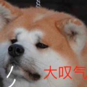 言轻微
