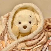 小婕不在