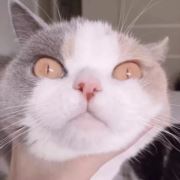 一一一一一弋