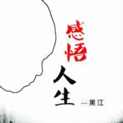 草根光伏