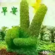 默默862