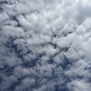 WX~7701320