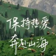 小鱼鱼不言败