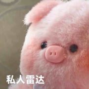 小可可爱111
