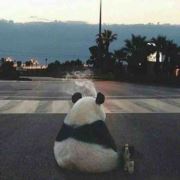 吊咂天