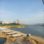 WX~9879137