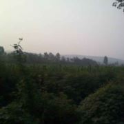 WX~10074640