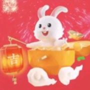 正直不良帅