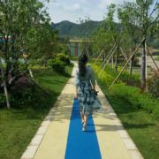 幸福NP5