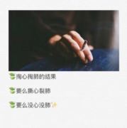 WX~11446531